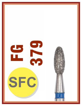 FGSFC379